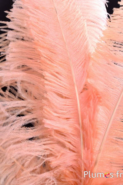 Strauß zugeschnitten - 50-60 cm - lachsrosa